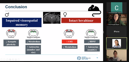 sex_aging's tweet photo. Today in our @sex_aging seminar we had @CYaohua presenting her amazing work with mice related to sex differences in microbleeds 🧠 again results that show the importance to move towards to #precision #medicine https://t.co/GX1z1zSugq