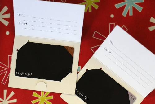 Not sure what to gift this holiday season? Gift cards are the way to go 💝.

Shop here: ow.ly/OKxf50COv2L
#plantlife #giftcards #christmas #plantbased #aromatherapy