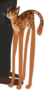 Labrayic's tweet photo. Bonus behind the scenes long boy #Frumpkin https://t.co/jQTL37jT6M