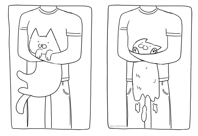 cat physics no. 2 