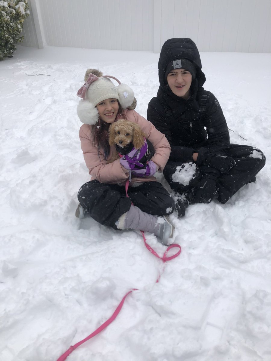 Anthony Ciuffo Jr. tweet media