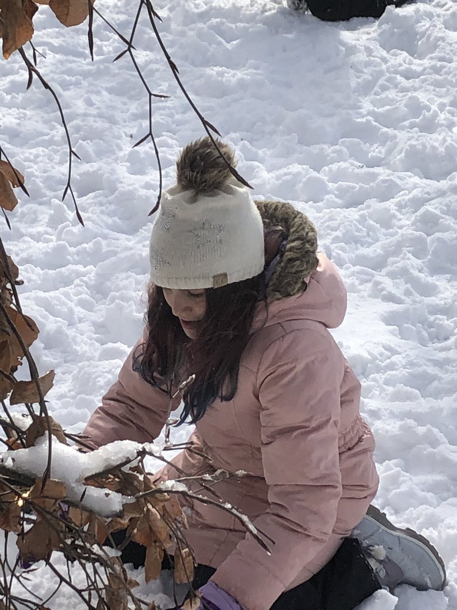 Anthony Ciuffo Jr. tweet media