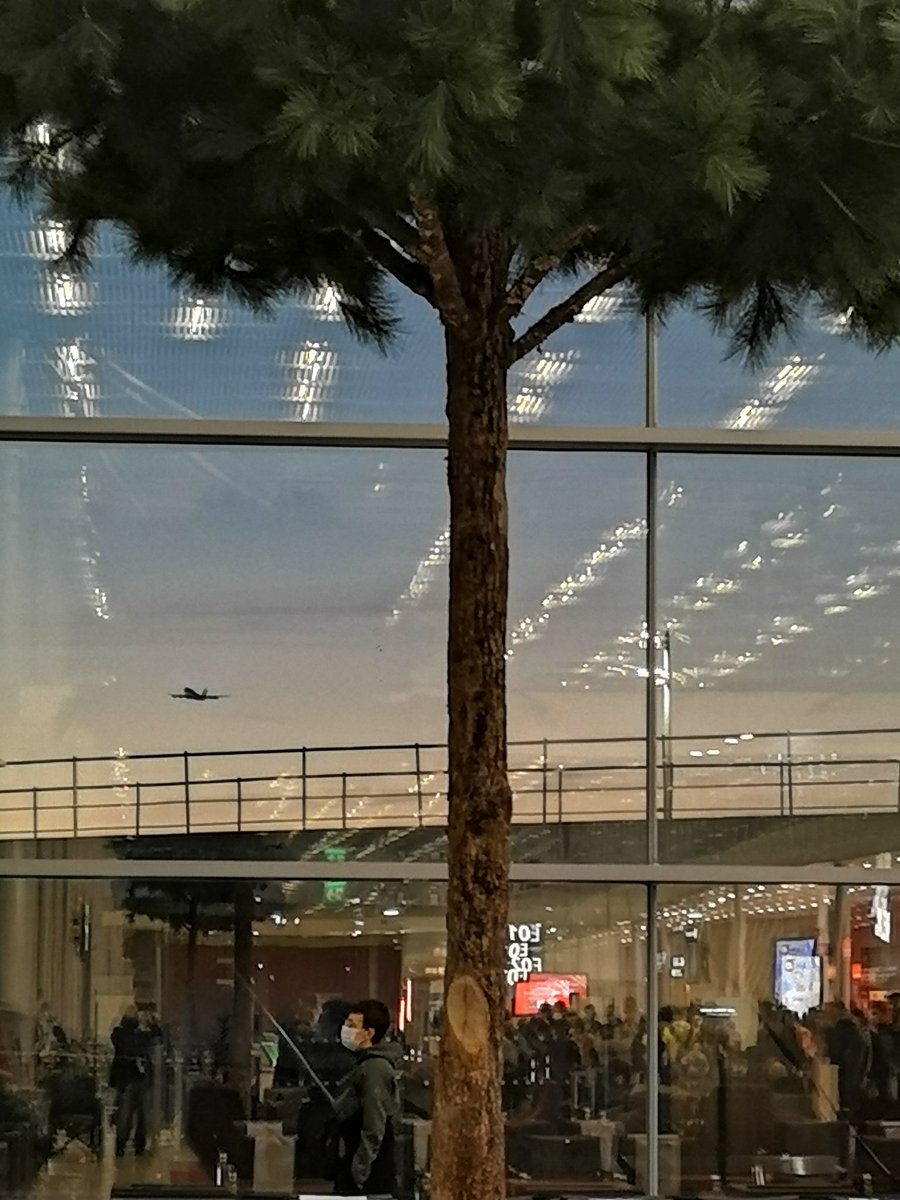 landais_cedric's tweet photo. ✈️👌🏝️Dernières couleurs d'une journée à #orly3 passée en compagnie des équipes #airfrance présentes pour accueillir les 467 clients du vol #AF644 vers #iledelareunion qui vont rejoindre leurs proches ou passer des vacances méritées sous le soleil de l #oceanindien 👍☀️✈️🏞️ https://t.co/g7S53DmQeR
