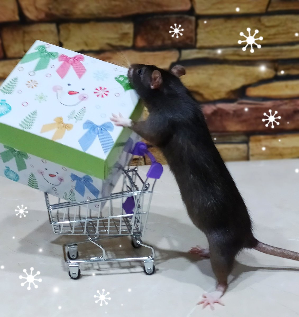 It's time to buy gifts!!🎄🐭🎁
#HappyNewYear