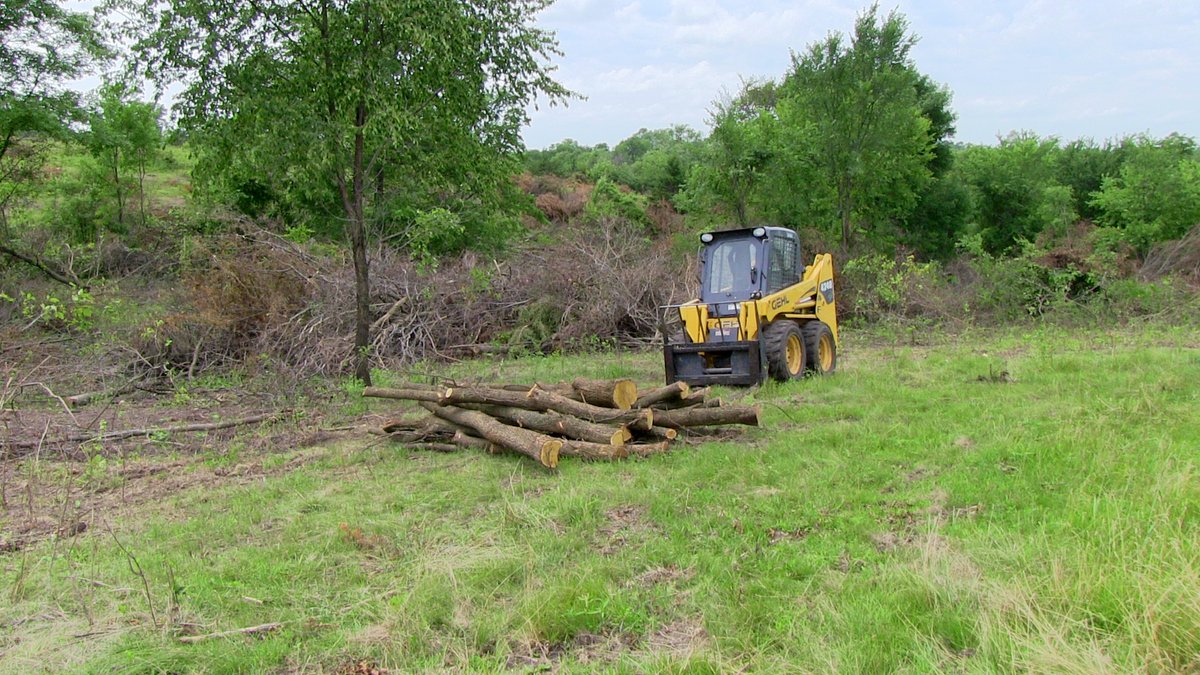Tomorrow is the first application cutoff date for Iowa producers to apply for assistance through EQIP to install conservation practices on private lands. bit.ly/IowaEQIP2021 <a href="/IADeptAg/">Iowa Dept of Agriculture & Land Stewardship</a> <a href="/practicalfarmer/">Practical Farmers</a>