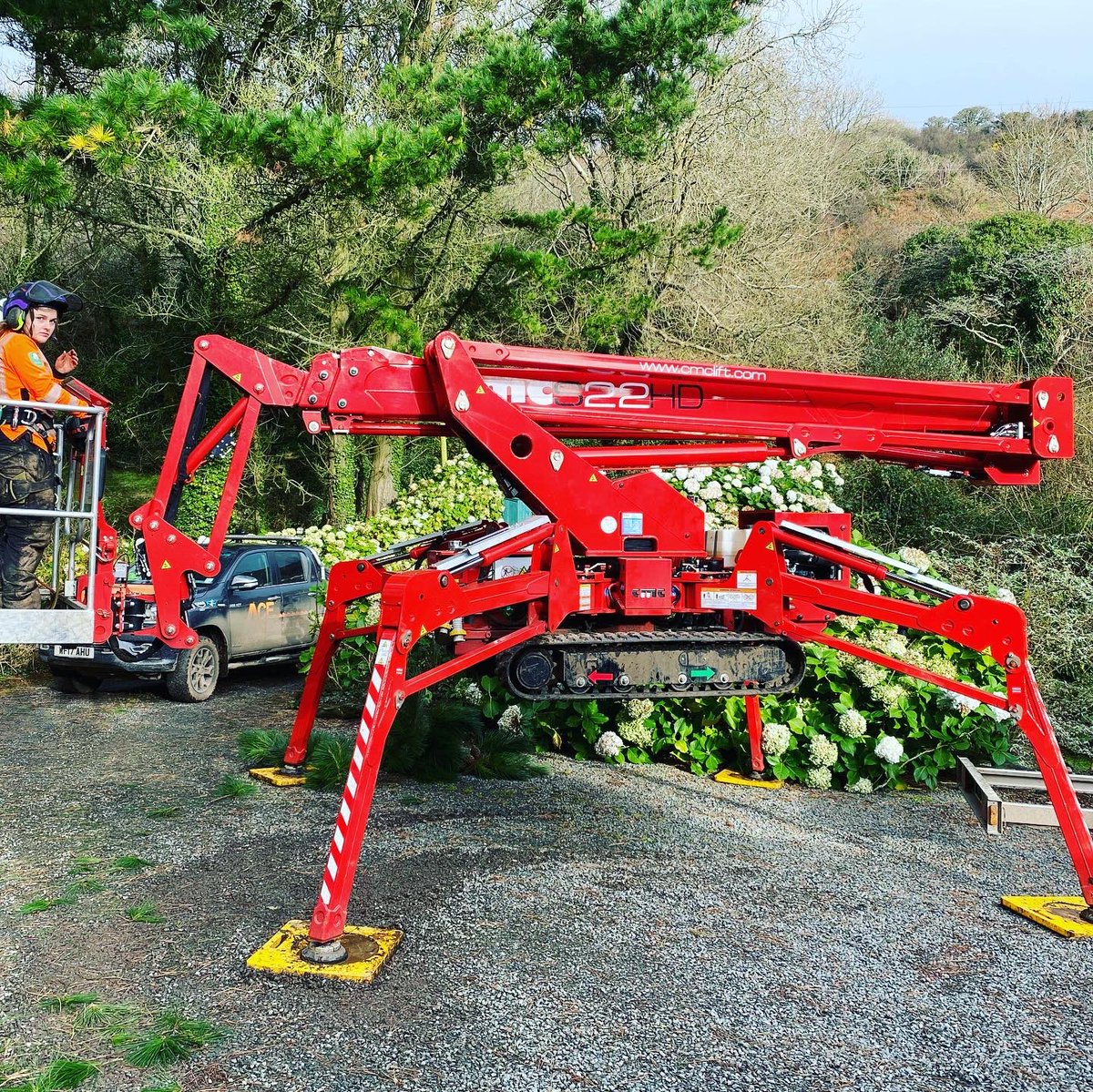 CHTreeSurgery1 tweet picture