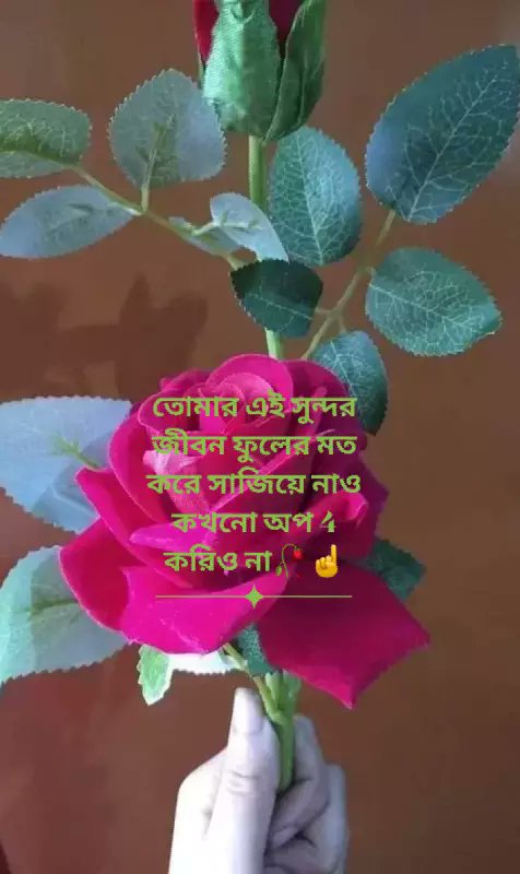 Rasel34635309's tweet photo. https://t.co/4Xqpc0FPTO