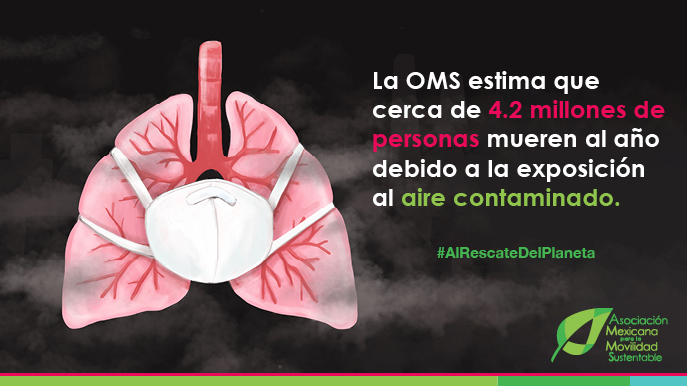 AMMSustentable's tweet photo. La #MovilidadSustentable es una de las soluciones. En comentario con @SergioyLupita, el @quimicolmguerra habló sobre los beneficios de las gasolinas #E10 con #etanol. ¿Te gustaría conocer otras alternativas para cuidar del #MedioAmbiente? ¡Síguenos! https://t.co/UlQ5moXroB