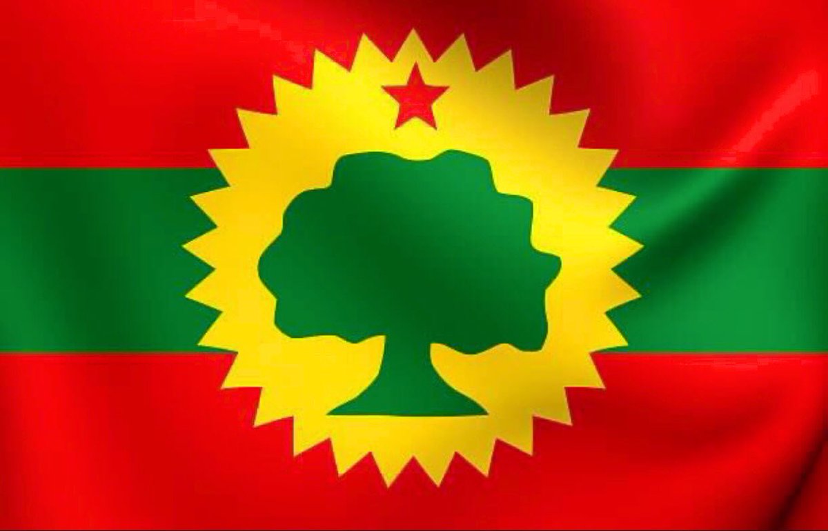 ObsaGaddisa's tweet photo. The Flag              The Face https://t.co/BZt3ICo8hX