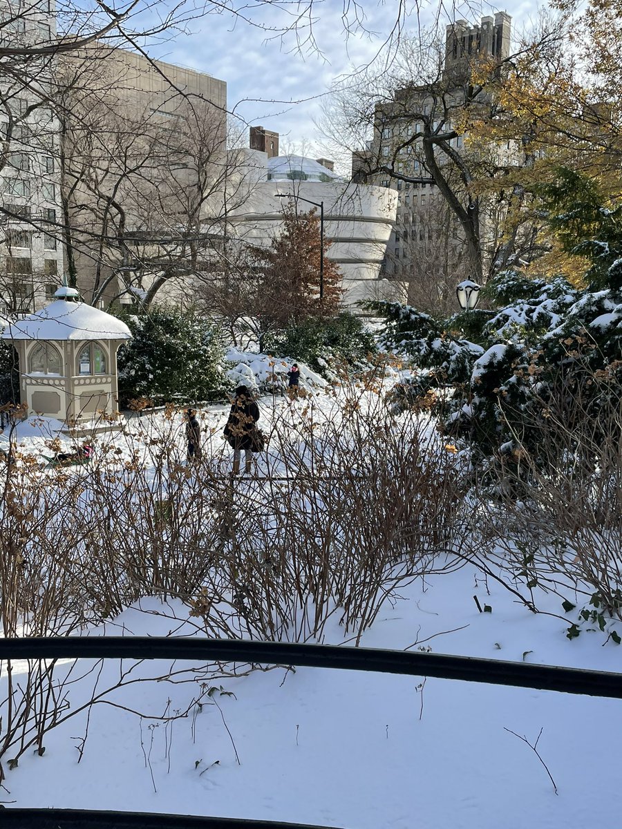 vs1942's tweet photo. Good morning NYC! #nyc #MyCentralPark @CentralParkNYC https://t.co/N6O5bxjs4Y