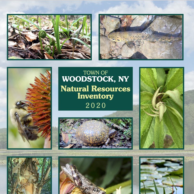 pesky's tweet photo. What a treat to find my photos included in the new Woodstock NY Natural Resources Inventory https://t.co/lkSwdlVtTl https://t.co/GAggzzkI2A