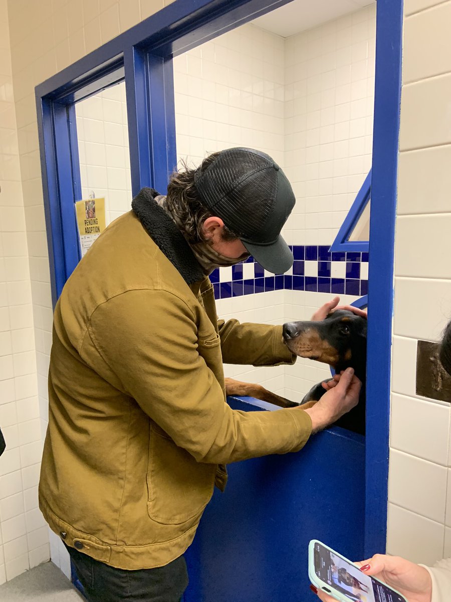 It’s a very #ThankfulThursday here at NHA: @PredsNHL, @RyanJohansen19 visited us with boxes & boxes & boxes of treats & toys for ALL of our shelter pets! Santa Ryan then toured our shelter & scored many goals by passing out presents to pets looking for a Home For The Pawlidays!♥️