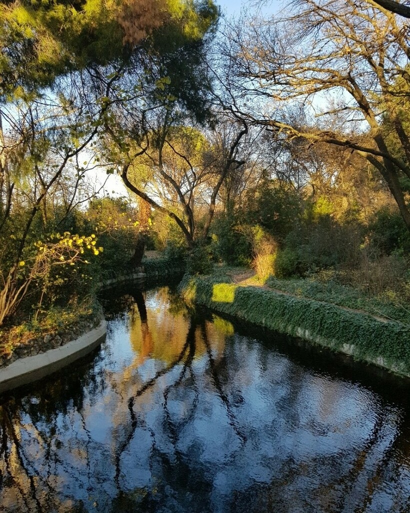 Alisetter's tweet photo. Como un cuadro de Monet... Visto en el Parque de El Capricho, mi última salida (por decir algo)
#madrid #parquedeelcapricho #reflects #autumstyle #romanticplaces #parquesdemadrid #travelbloggers #travelgram https://t.co/B9yRiwefF5 https://t.co/I8K42pFM03