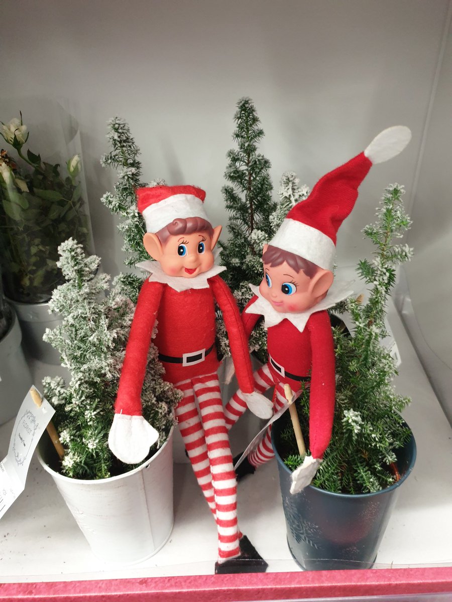 Alex Daws tweet media