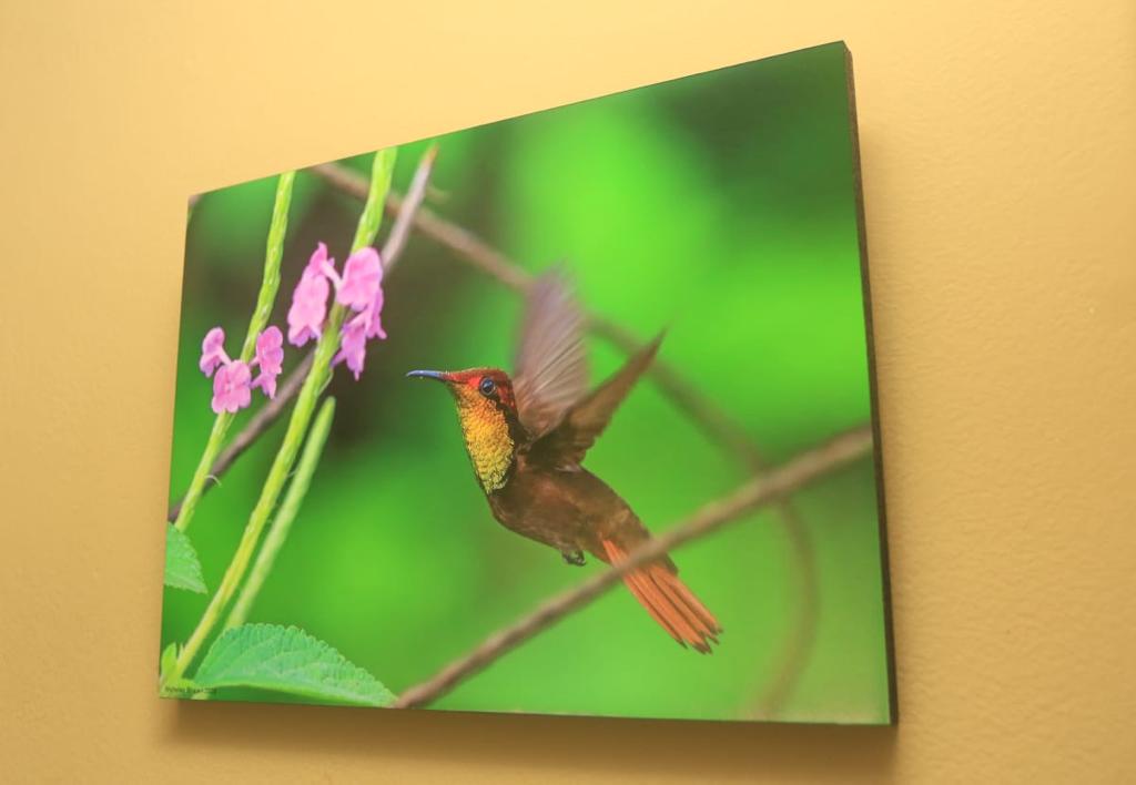 raymondwayne3's tweet photo. These fantastic 9×12 pieces can make a perfect Christmas gift for yourself or someone you love.
Just $275.

Call Nicholas to learn more.

(868)290-5883 https://t.co/GtYSHuS3wg