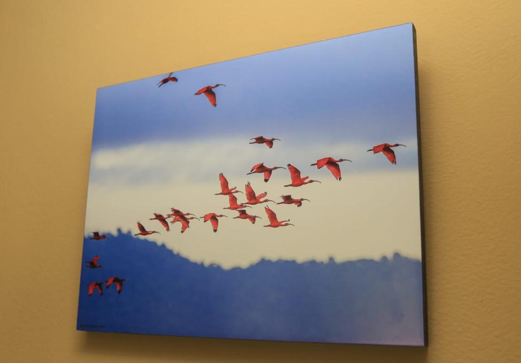 raymondwayne3's tweet photo. These fantastic 9×12 pieces can make a perfect Christmas gift for yourself or someone you love.
Just $275.

Call Nicholas to learn more.

(868)290-5883 https://t.co/GtYSHuS3wg