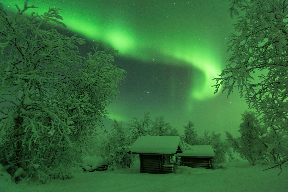 Bonsoir à tous et à toutes 💚❄️