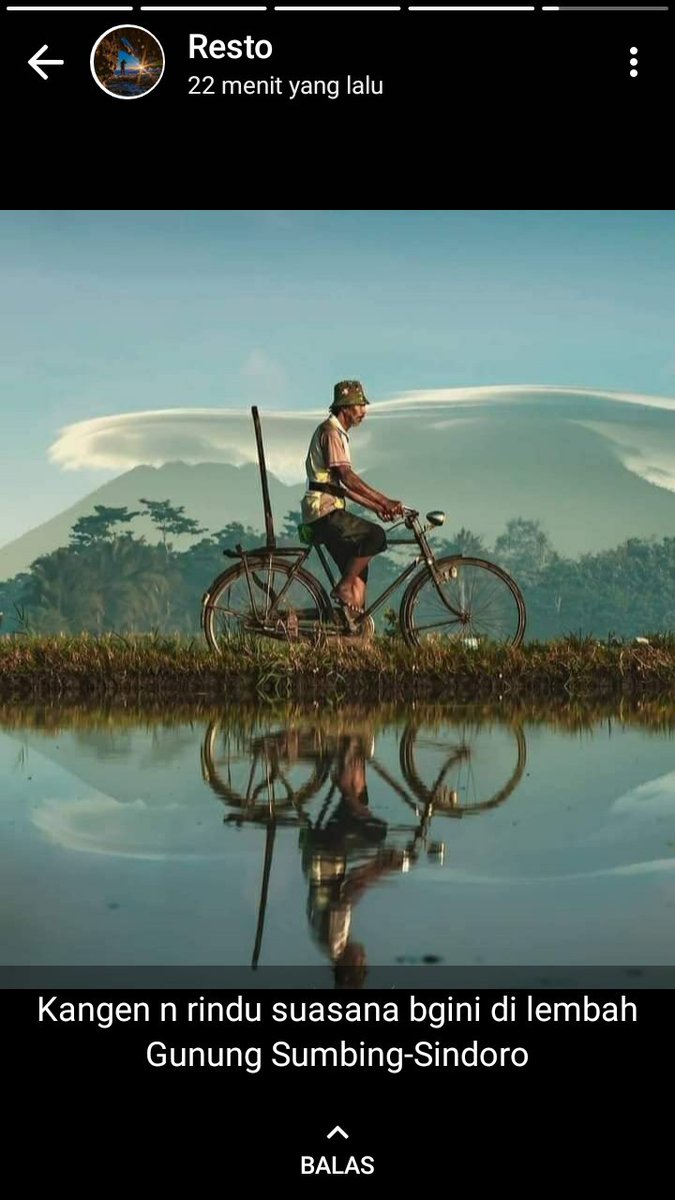 ganis setyo wibowo tweet media