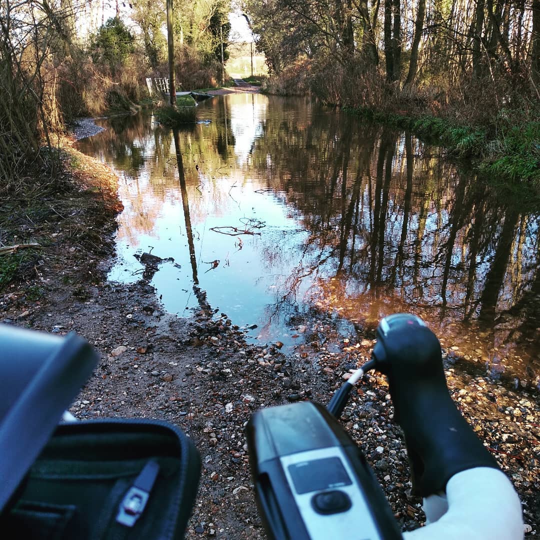 5000COLO tweet media