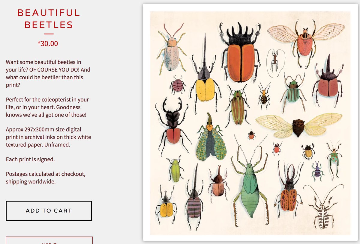 Gorgeous prints and comics by  @tormalore:  https://torfreeman.bigcartel.com&nbsp;  #SupportArtists