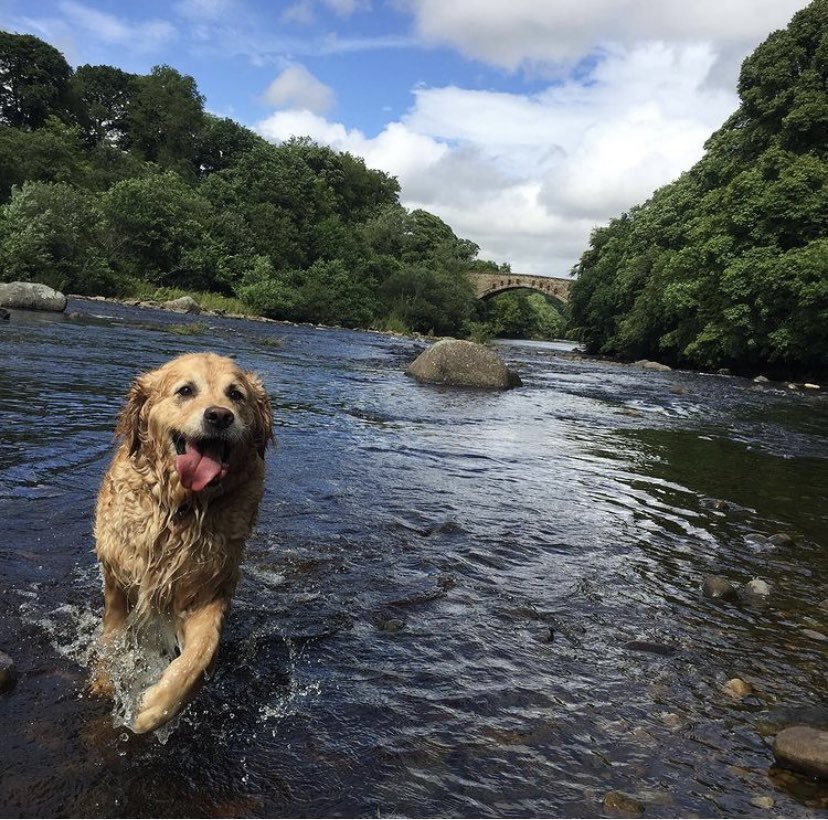 Andy Preston tweet media