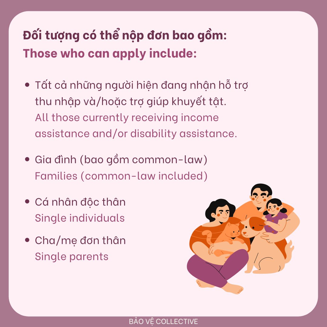 Bao Ve Collective tweet media