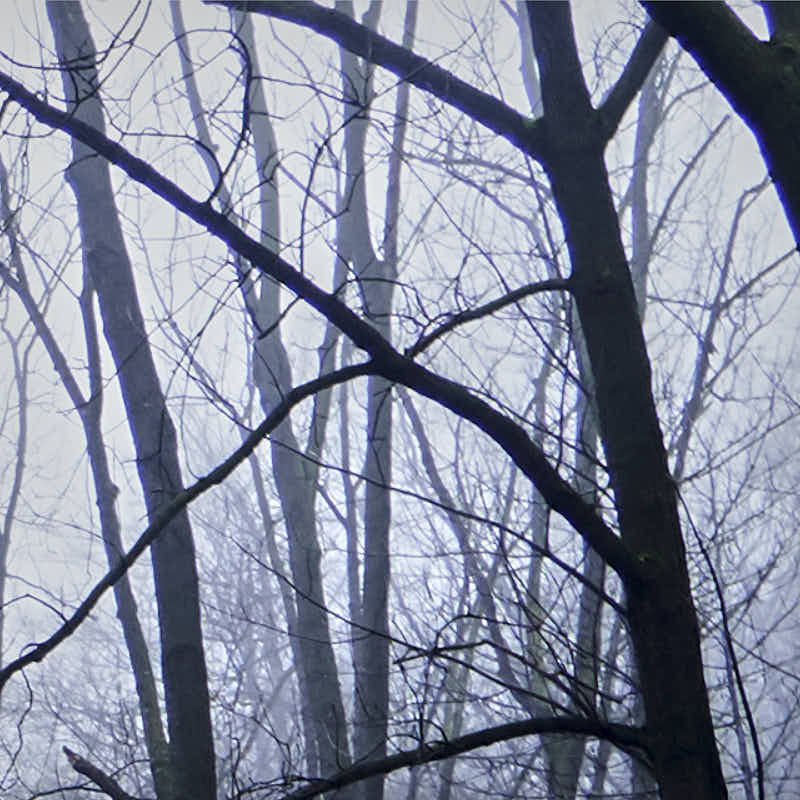 Ein ziemlich häufiges Problem für Fotografen ist die chromatische Aberration. Eine chromatische Aberration wird auch als Farbsaum, Dispersion oder Violett-Saum bezeichnet. Wie eine chromatische Aberration auftritt und wie man sie korrigiert, das schauen wi volkerrastel.de/chromatische-a…
