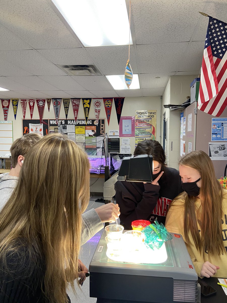 SchermsLHS's tweet photo. Leaf Disk Lab, cohort B were the hands & A & RL did the data collection on zoom. #LHSAPbio @LHSTigrInCharge https://t.co/LGUeLlIpwW