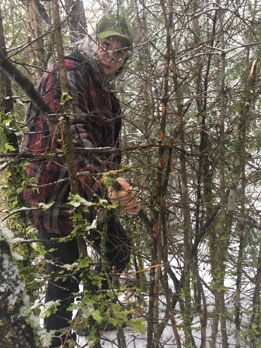 Dead Pine Collective tweet media