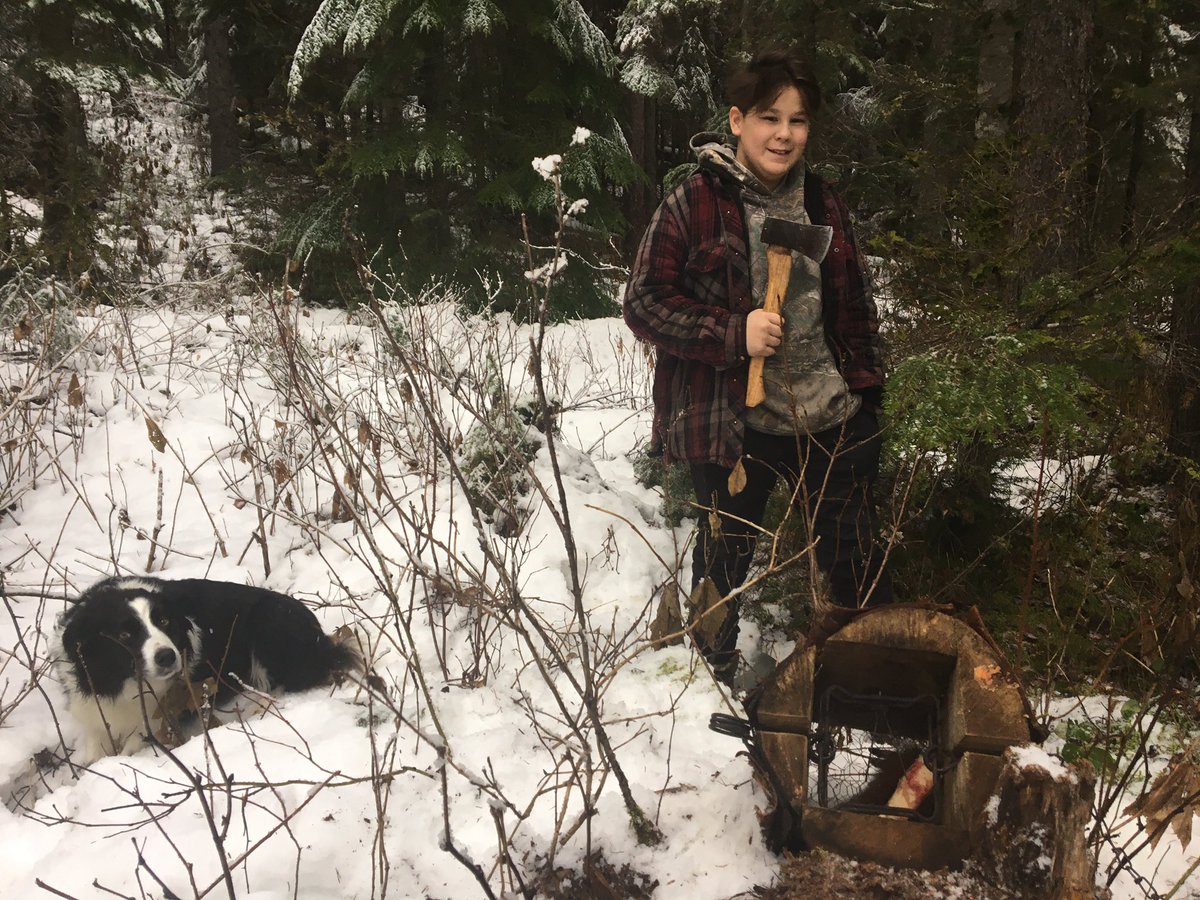 Dead Pine Collective tweet media