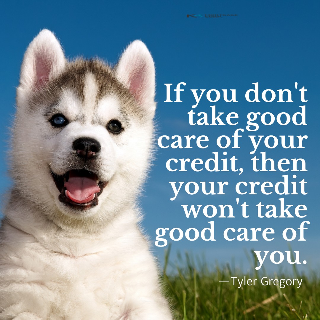 k5mortgage's tweet photo. We care about the financial future of you and your family (and fur family!). 

Contact us to learn more about securing your financial future: https://t.co/I2bxxaJ3sK

#personalfinance #k5mortgage #calgaryrealestate #yycre https://t.co/wRS7FddCEO