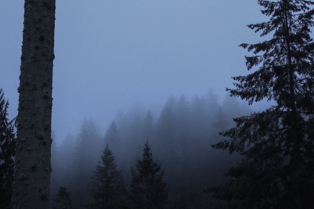 mestitiah's tweet photo. Shades of shadows. 
#photography #PNW #pnwphotography https://t.co/puHQdsjhDI