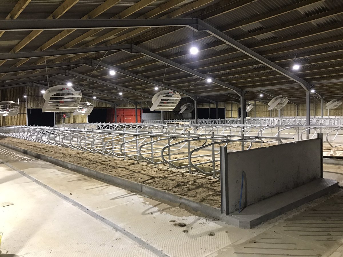 MilesPhilp's tweet photo. Can’t wait to get the cows in here now! All coming together. Thanks to @VESEnviro &amp; @huwjonesVES for the lights and fans. #longdaylighting #cyclonefans #dairybos #teamdairy 😊😊 https://t.co/MAbSMCawA9
