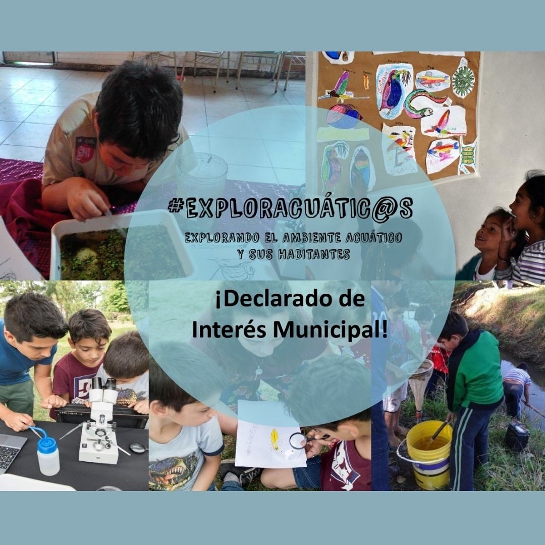 exploracuaticxs's tweet photo. Y se va este año tan particular. Tan lleno de emociones a flor de piel. Otro más para el proyecto y para todxs lxs que estamos atrás de @exploracuaticxs. Uno más en donde reforzamos nuestro compromiso con la educación ambiental, en donde jugamos y reímos, en donde ponemos el 💚 https://t.co/Rvv99EUjiI