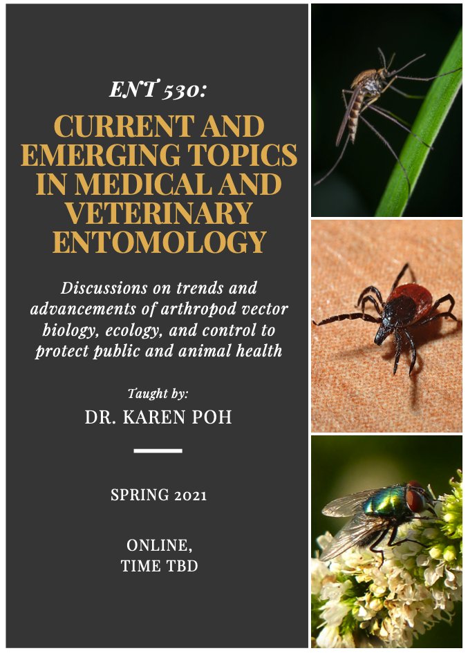 Karen C. Poh tweet media