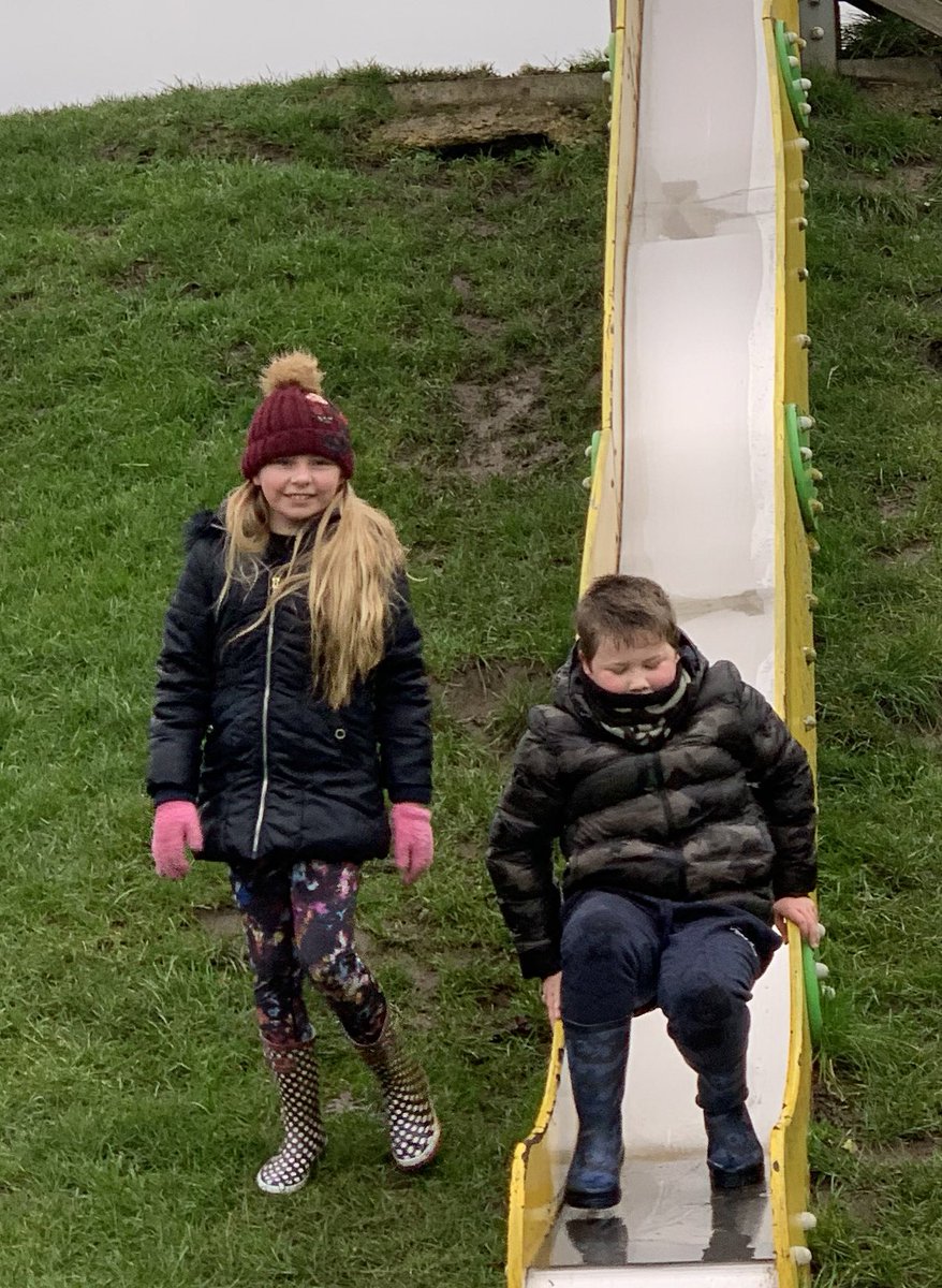almost_mrs_k's tweet photo. @CarltonMiniY5 @farmer_lois They were still this happy when we had out final play date on Sunday when it was super wet and windy. Look at their rosey cheeks #mk4ff https://t.co/LxCzHzR0Un
