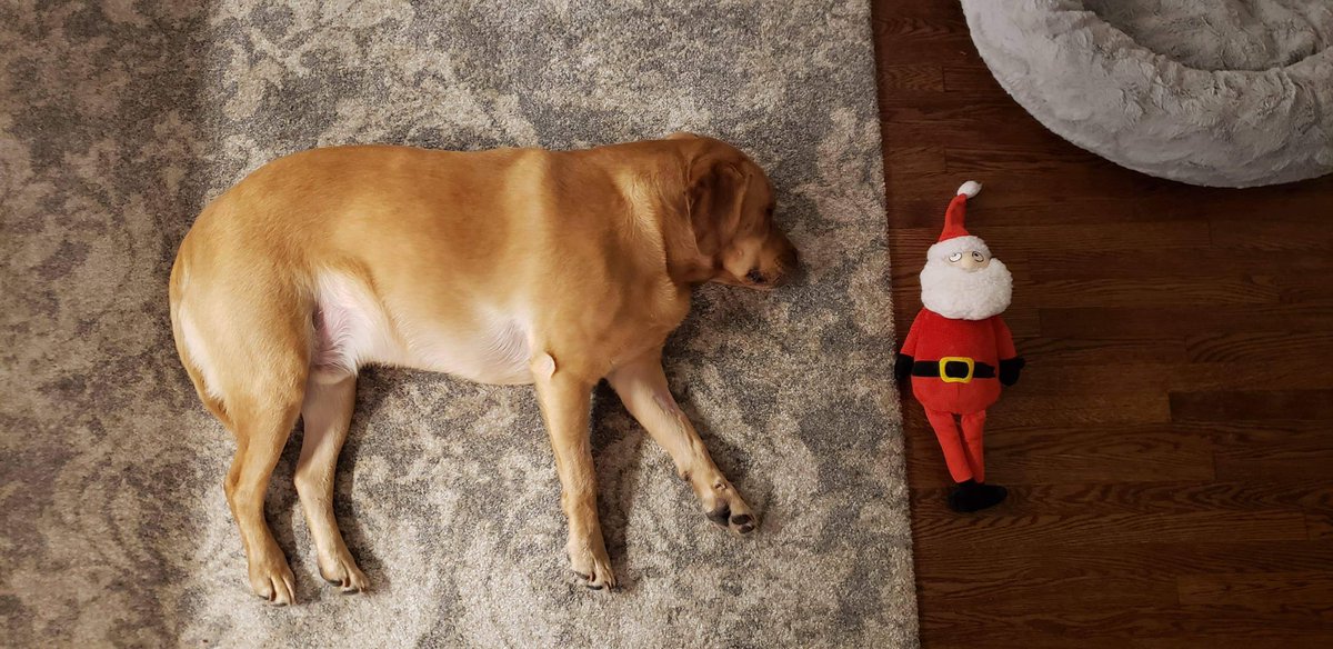 They keep saying 8 sleeps until Christmas ... that’s only 8 naps?? I can do that in a day!