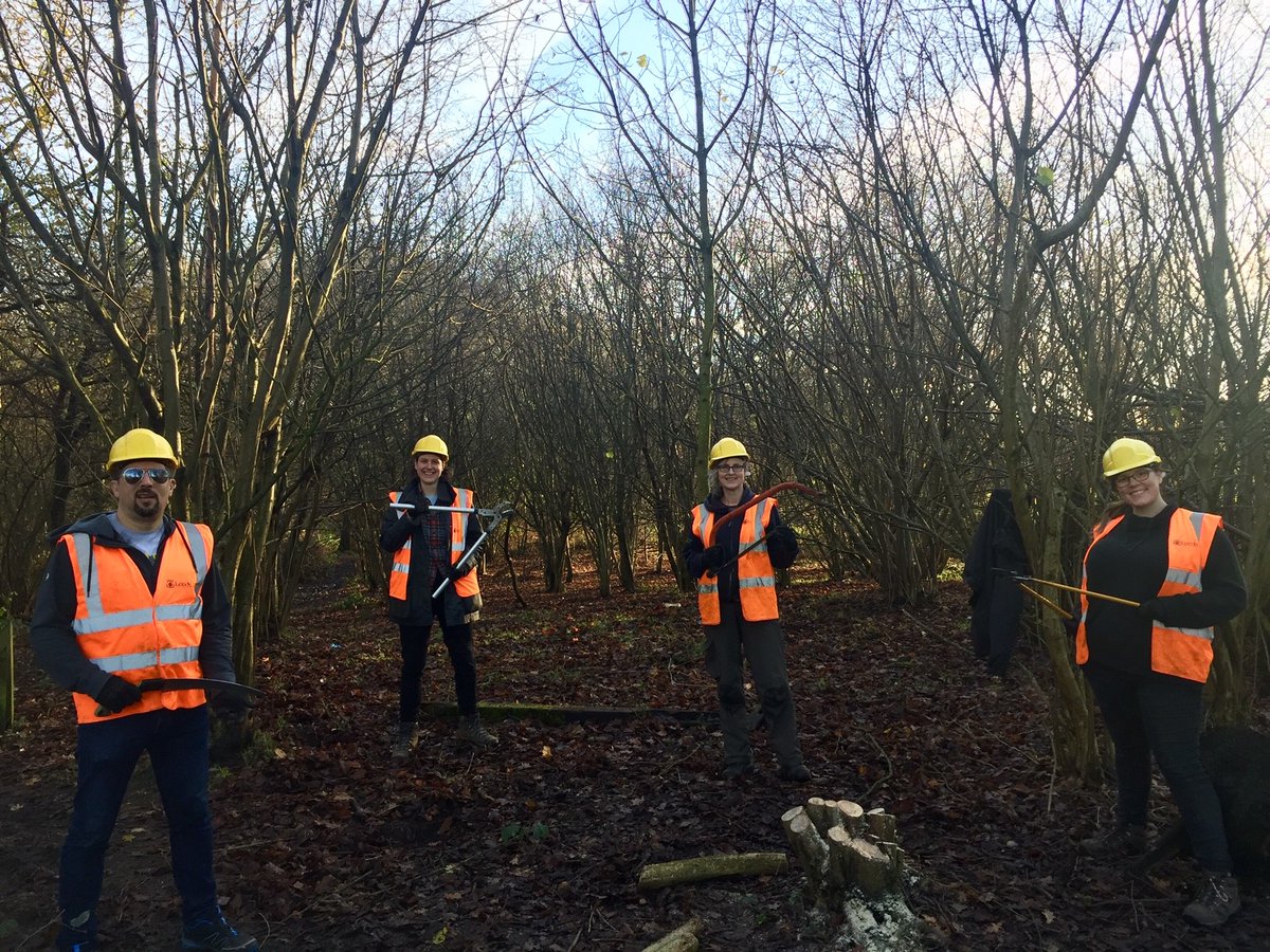 Touchstone tweet media