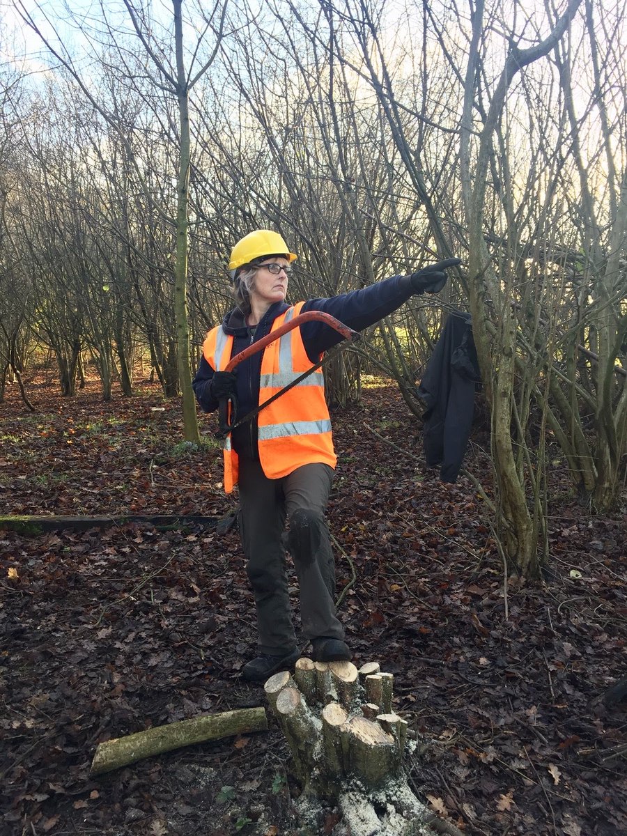 So pleased to see members of our #GreenGroup volunteering for <a href="/LeedsCC_News/">Leeds Council News</a> <a href="/LeedsParks/">Leeds Parks</a> #tree planting #savingtheplanet #GivingAtChristmas