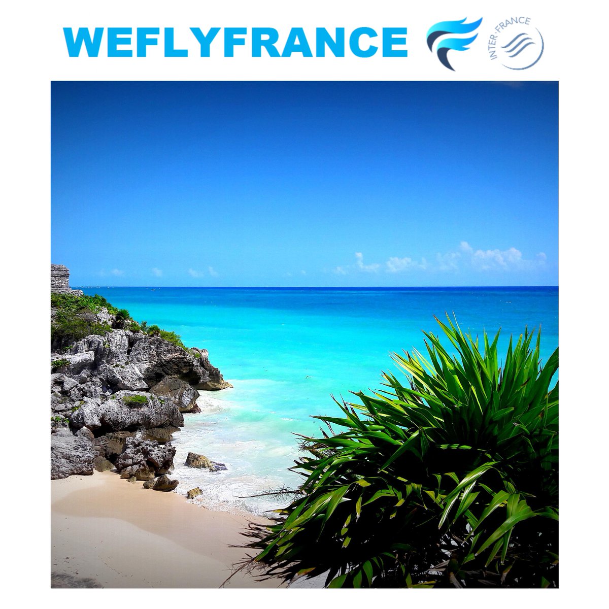 WEFLYFRANCE's tweet photo. J-2 avant les vacances de Noël ! 🎅🎄 Profitez de ces vacances pour découvrir la Martinique et les Caraïbes avec WEFLYFRANCE et ses partenaires @InterFrance_Gr https://t.co/PZp8wn8Auy