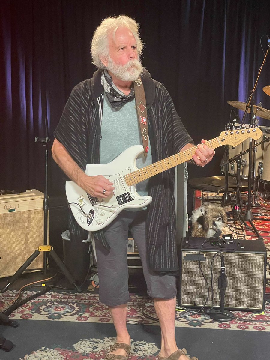 georgiacomesalive tweet media