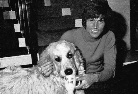 you suspect he loves the dog more