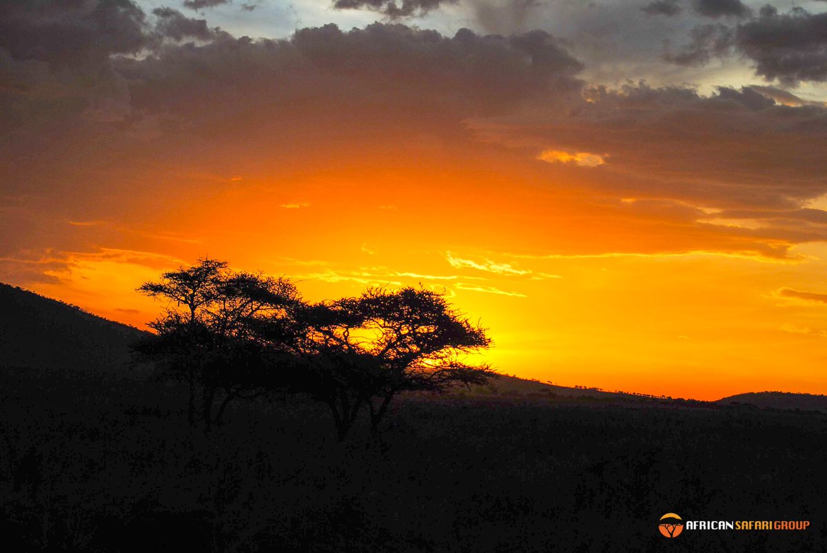 African Safari Group tweet media