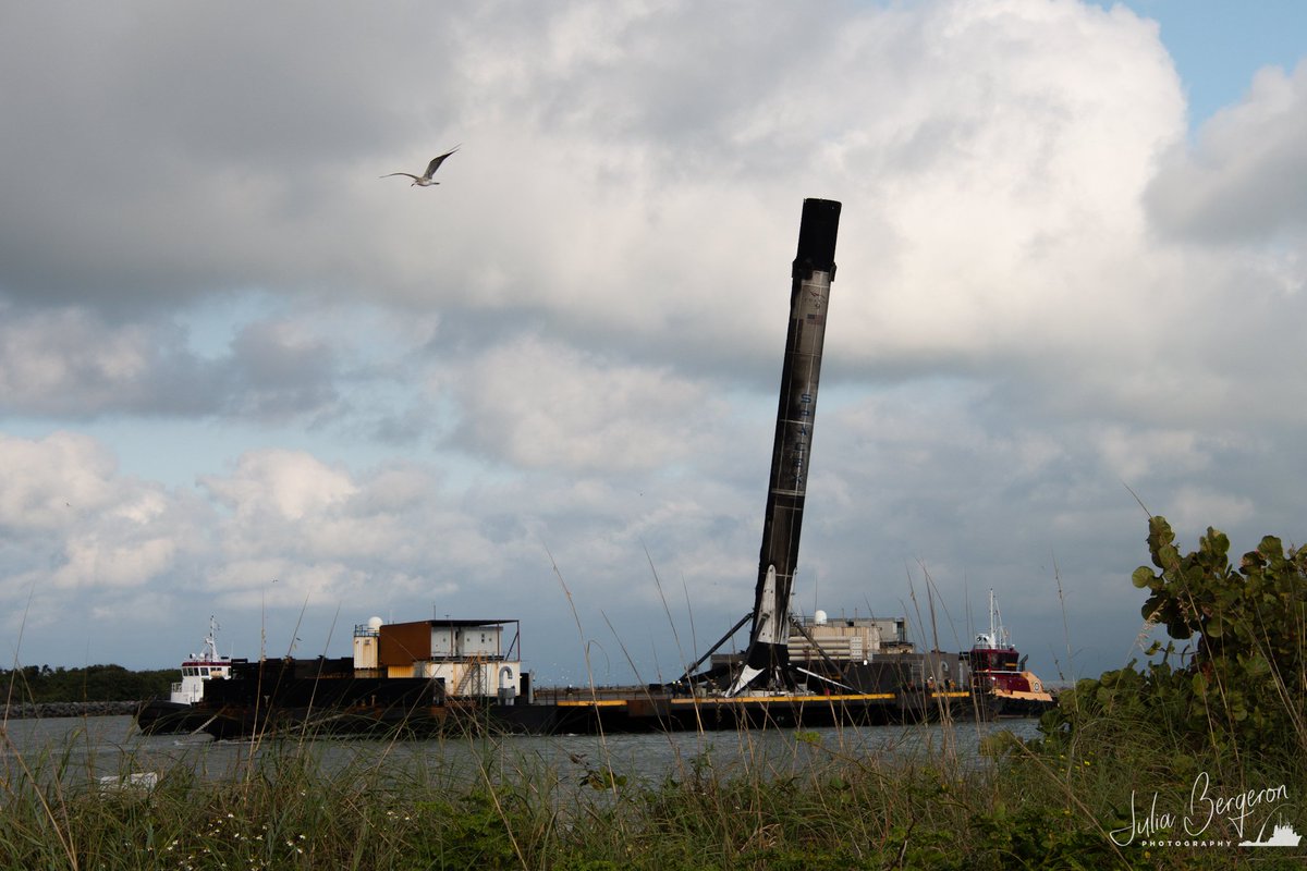 julia_bergeron's tweet photo. Other times our feathered friends buzz the tower so to say. #SpaceXFleet #SXM7 https://t.co/8lhYuIZO5P