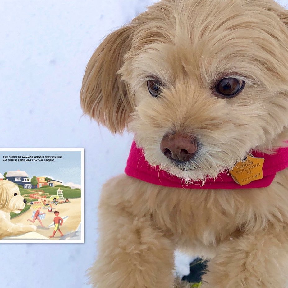 #TillyTails tweet media