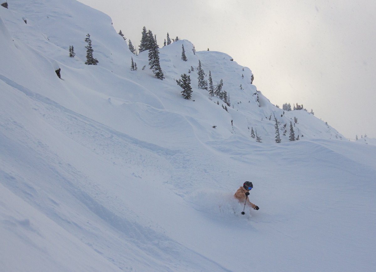 KickingHorseMtn's tweet photo. Perks of riding mid-week = more pow to yourself!
Skier IG: tige.l 
#thishorserules https://t.co/uNO6FYWIrS