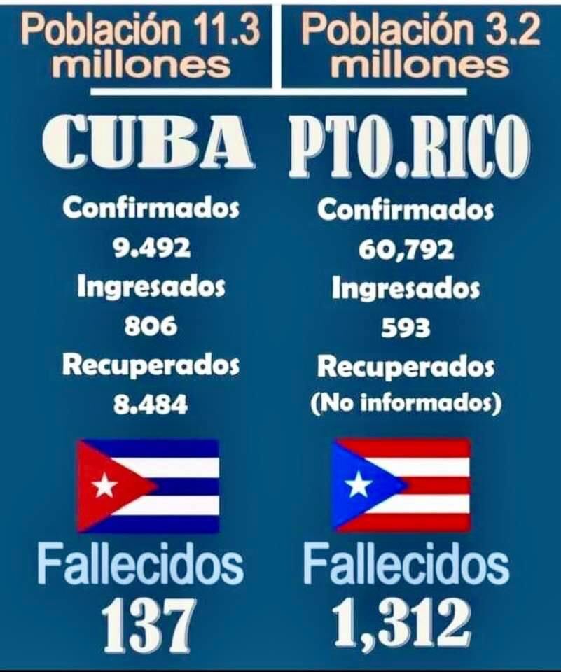 william_PR_free🇵🇷 tweet media