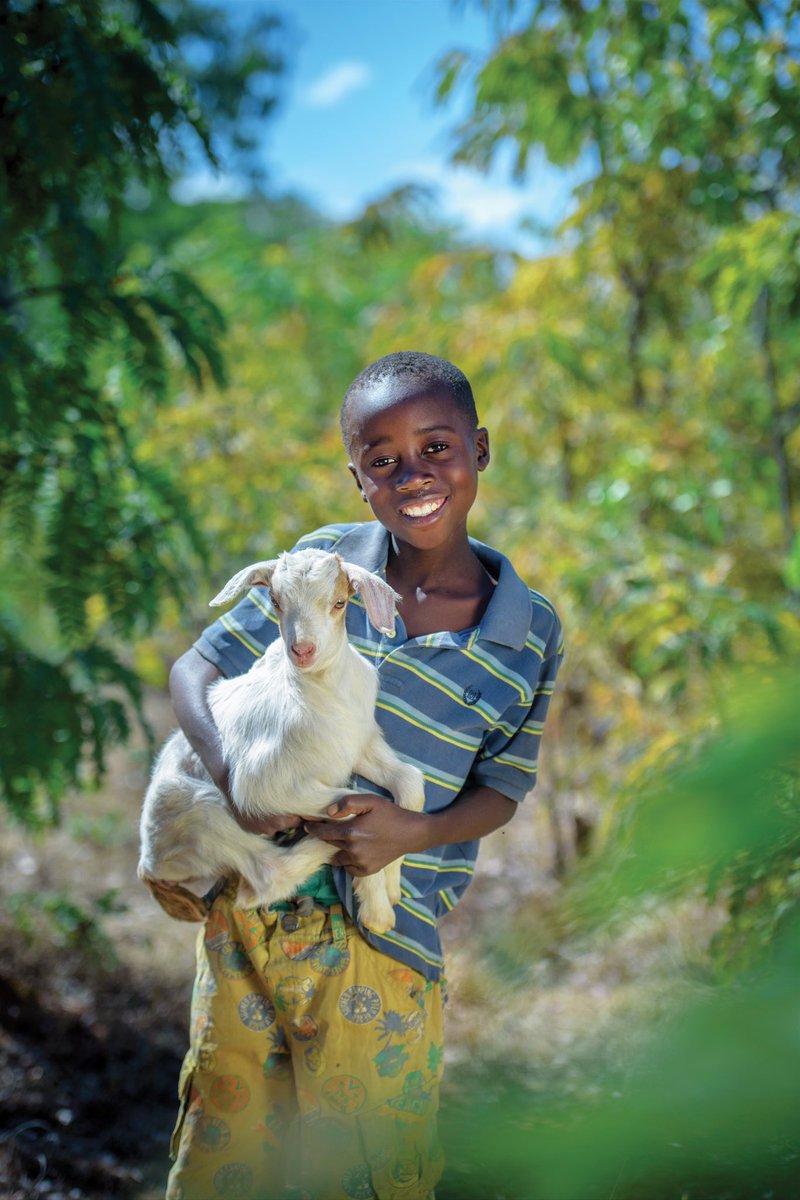 ChrissyMetz's tweet photo. If you're able, join me in supporting @WorldVisionUSA this holiday season. A gift to World Vision empowers kids &amp; communities to create a lasting change. Gift a goat, change a life... https://t.co/rOS4rISVAd ❤️ https://t.co/ZWf2BxOSiC