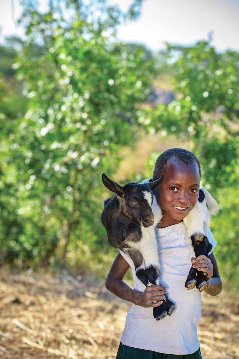 ChrissyMetz's tweet photo. If you're able, join me in supporting @WorldVisionUSA this holiday season. A gift to World Vision empowers kids &amp; communities to create a lasting change. Gift a goat, change a life... https://t.co/rOS4rISVAd ❤️ https://t.co/ZWf2BxOSiC