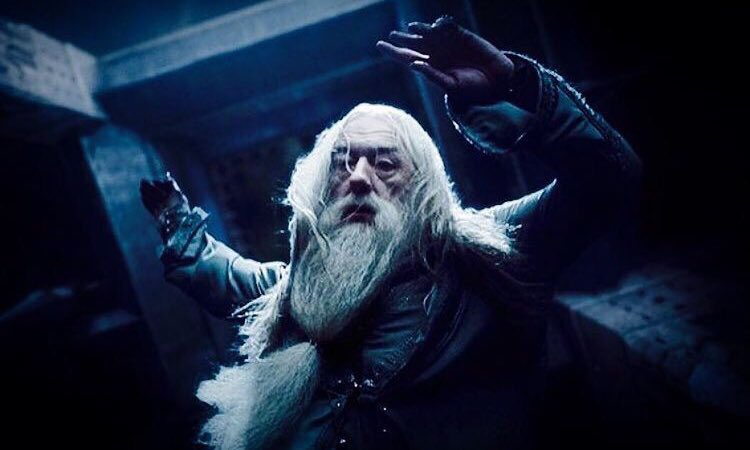 BryPapasodaro's tweet photo. #HarryPotter 
La me razionale che ragiona con la me emotiva: “Siamo pronte. Stasera la prendiamo bene. Stavolta non piangiamo. Abbiamo accettato la cosa tempo fa.”

Va in onda il #PrincipeMezzosangue:

SCENA⬇️                          IO⬇️
(Qualcosa è andato decisamente storto) https://t.co/K68pHrG9iB